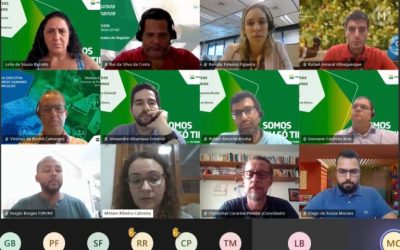 GT de Efetivos discute concursos públicos e casos críticos de transferências