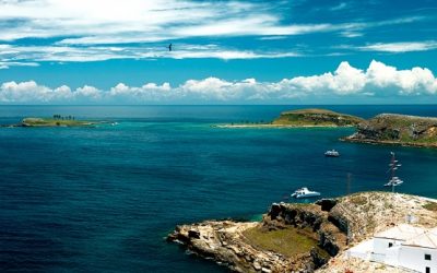 FUP ajuíza ação contra a destruição de Abrolhos