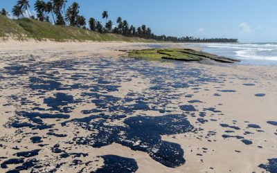 Sindipetro Bahia organiza mutirão para limpeza de praias atingidas pelo derramamento de óleo