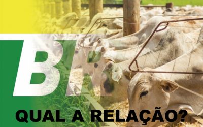 Quando o Brasil vira refém da ureia de outros países